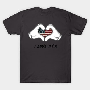 i love usa T-Shirt